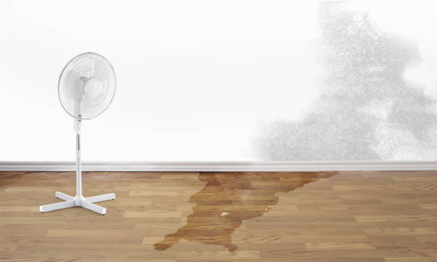 Best Residential water damage restoration  in Gap, PA
