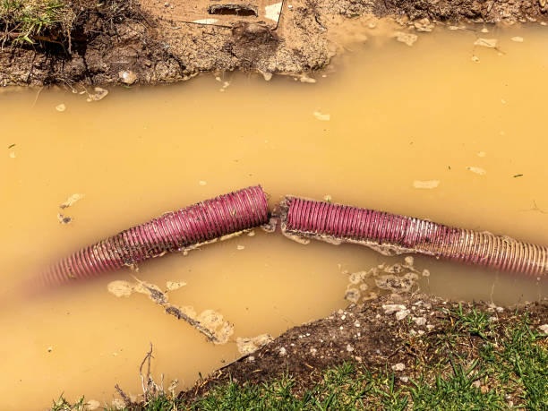 Best Water damage contractors near me  in Gap, PA